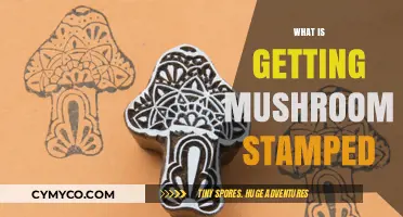 Exploring the Trend of Mushroom Stamping: A Comprehensive Guide