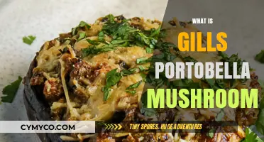 Exploring the Culinary Delight of Gill-less Portobello Mushrooms