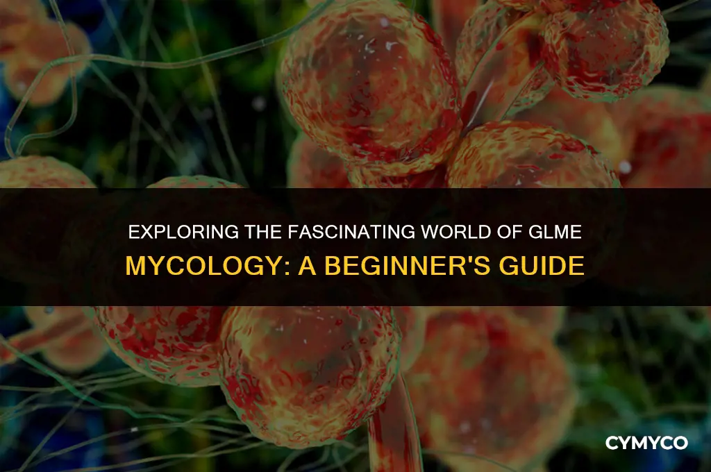 what is glme mycology