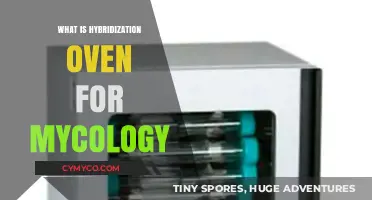 Exploring Hybridization Ovens: A Mycology Enthusiast's Guide