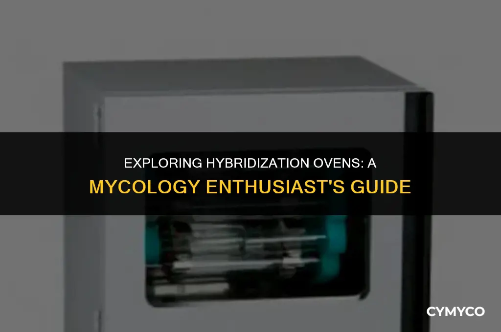 what is hybridization oven for mycology