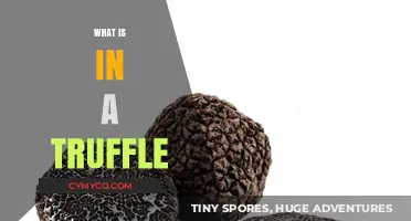 Unveiling the Decadent World Inside a Truffle: A Gourmet's Delight