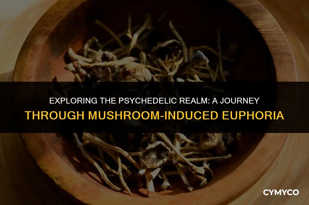 what is it like when get high on mushroom