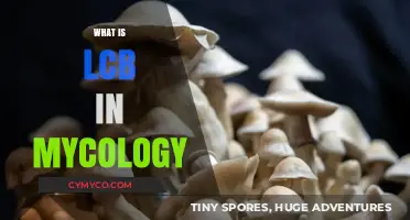Exploring the Fascinating World of LCB in Mycology