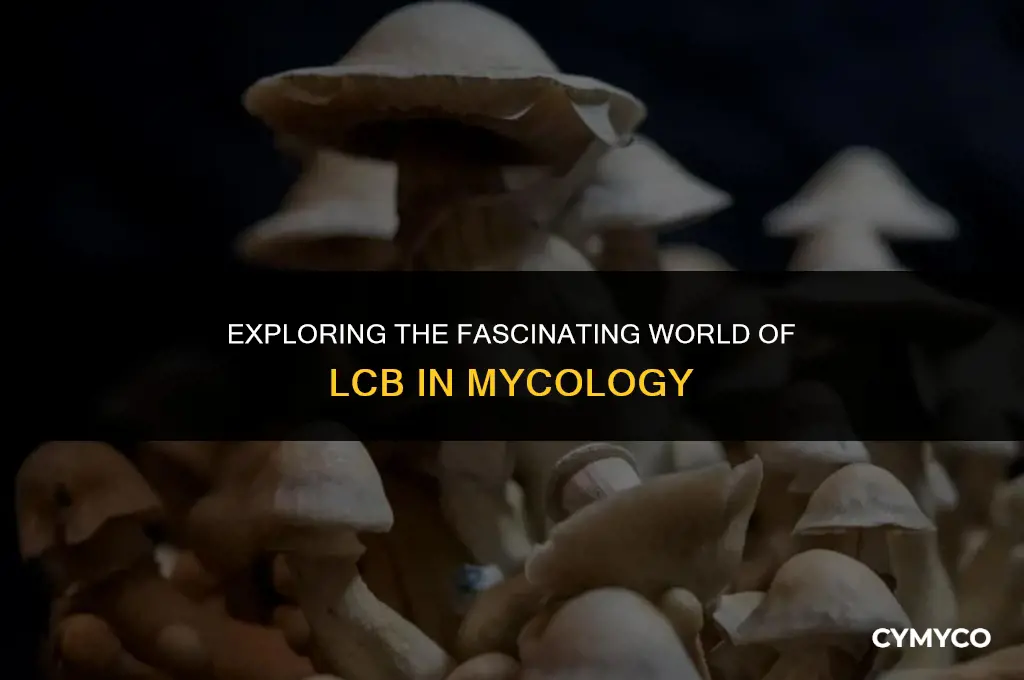 what is lcb in mycology