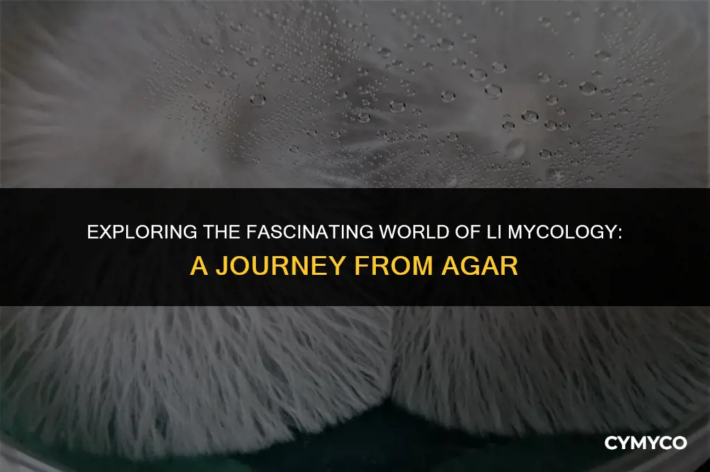what is li mycology from agar