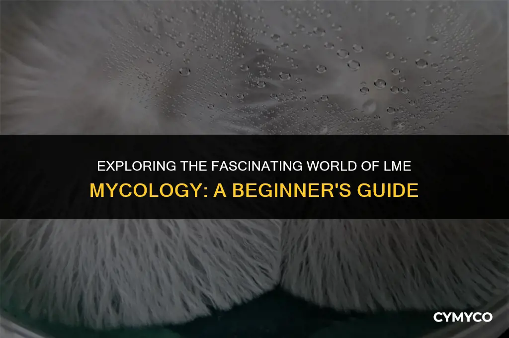 what is lme mycology