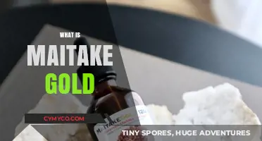 Unlocking the Secrets of Maitake Gold: A Comprehensive Guide