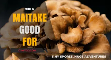 Unlocking the Health Benefits of Maitake: A Comprehensive Guide