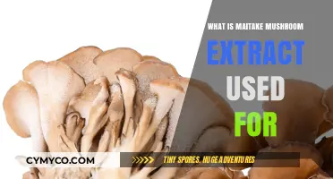 Exploring the Health Benefits of Maitake Mushroom Extract