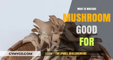 Unlocking the Health Benefits of Maitake Mushrooms: A Comprehensive Guide