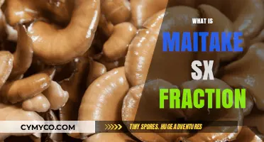 Unlocking the Secrets of Maitake SX Fraction: A Comprehensive Guide