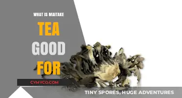 Exploring the Health Benefits of Maitake Tea: A Comprehensive Guide