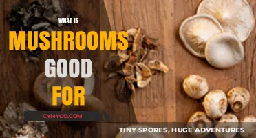 Exploring the Health Benefits of Mushrooms: A Nutritional Powerhouse