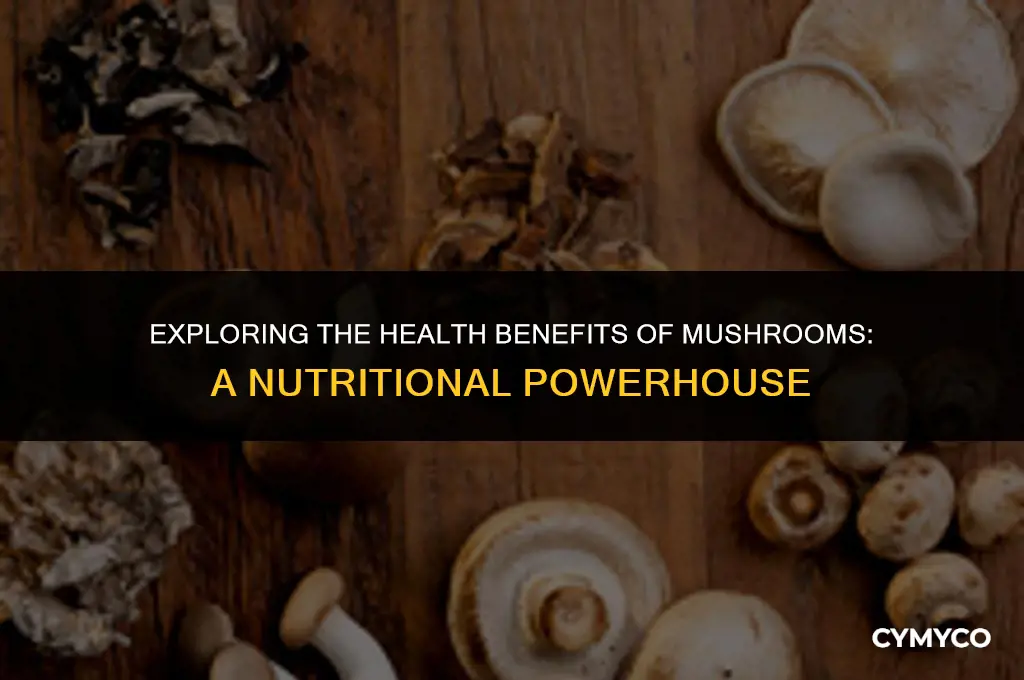 what is mushrooms good for