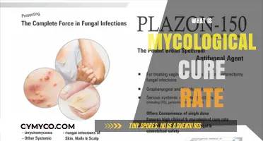Exploring the Effectiveness of Mycological Treatments: Cure Rates Unveiled