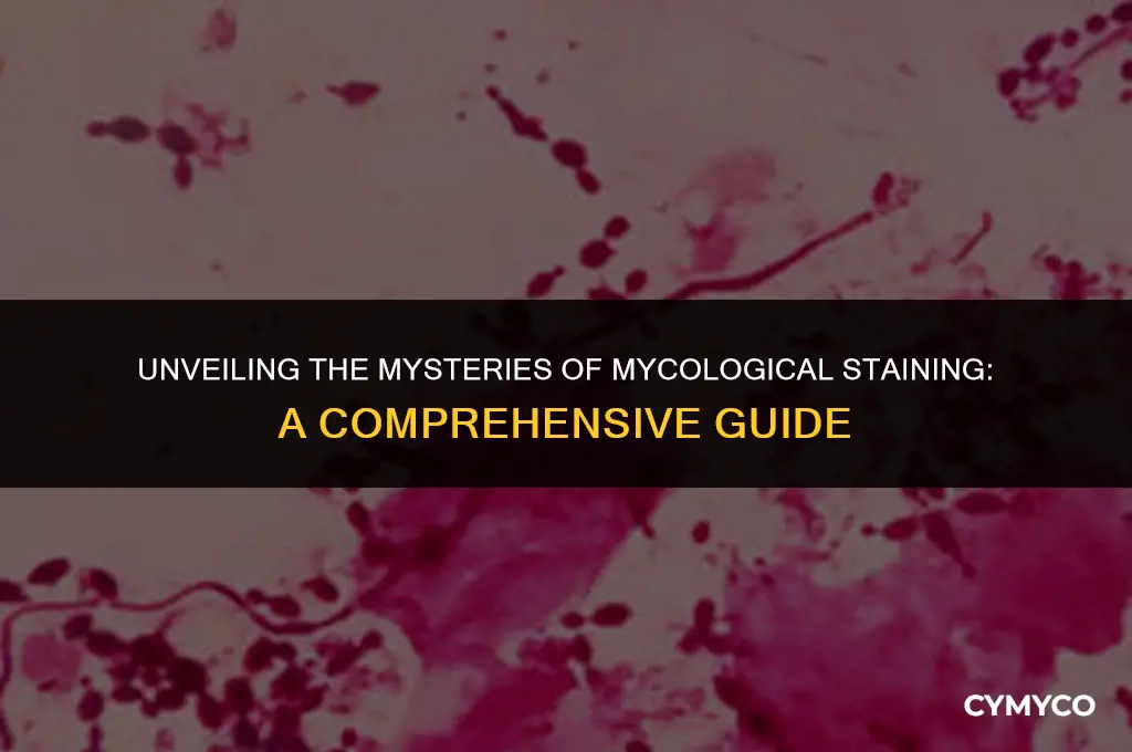 what is mycological staining