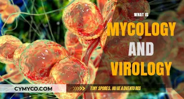 Exploring the Fascinating Worlds of Mycology and Virology