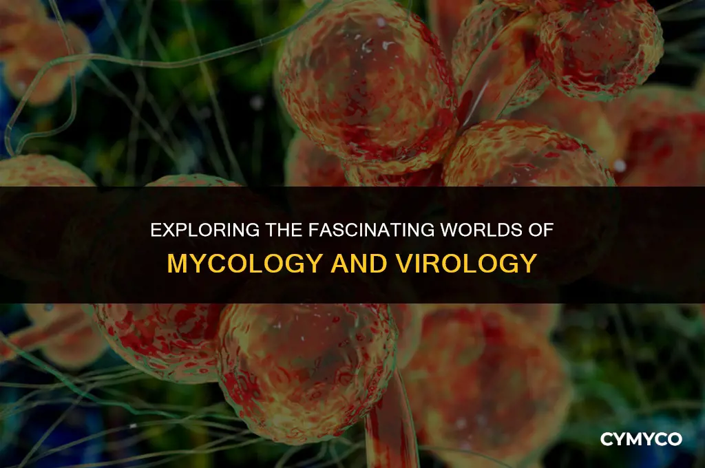 what is mycology and virology