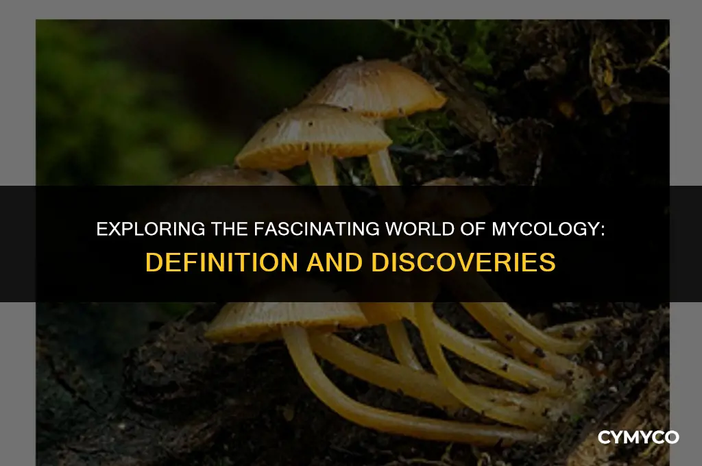what is mycology definition