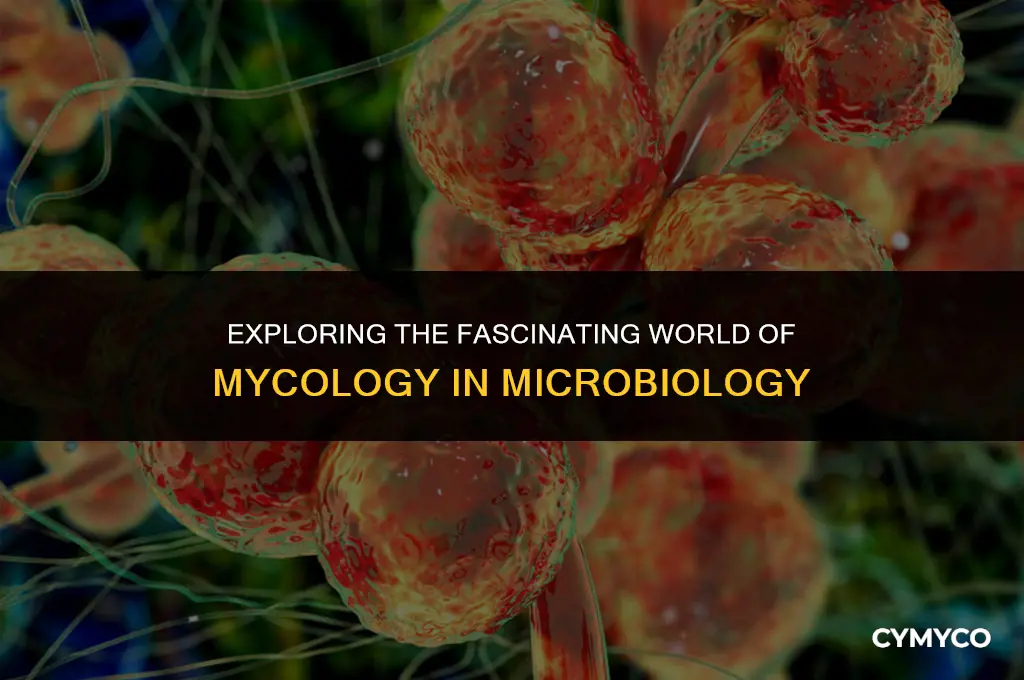 what is mycology in microbiology