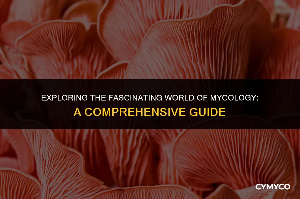 what is mycology ppt