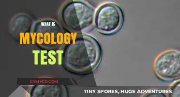 Exploring the Fascinating World of Mycology Testing: A Comprehensive Guide