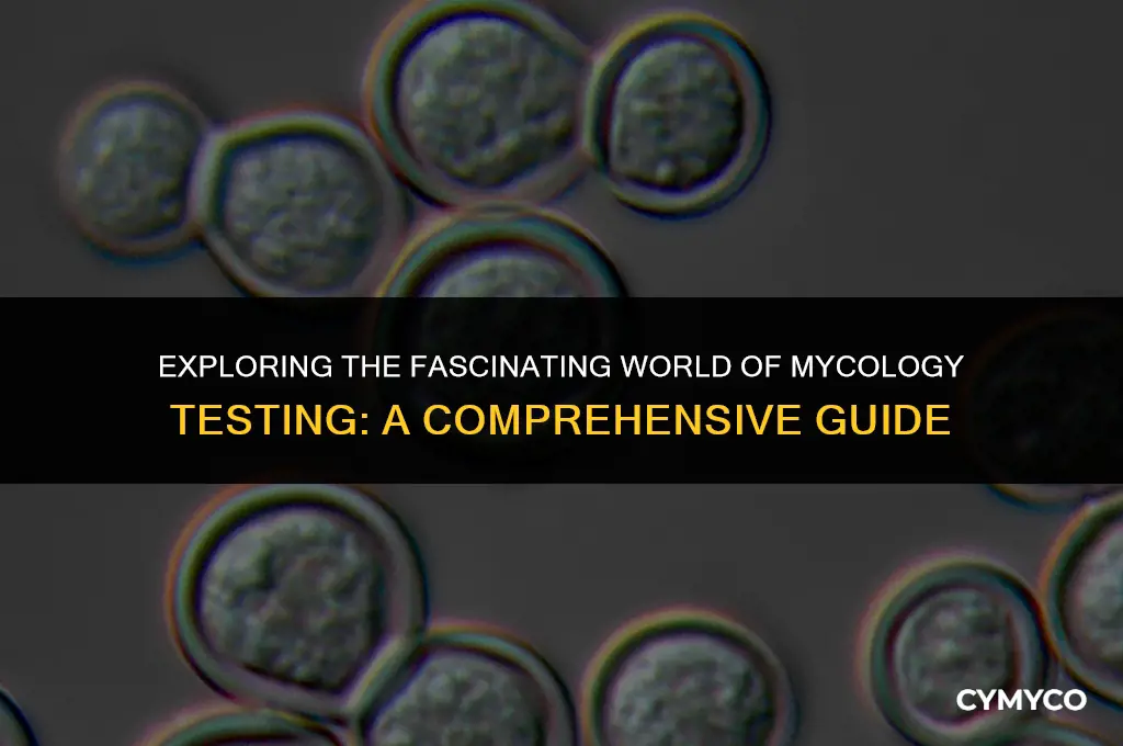 what is mycology test
