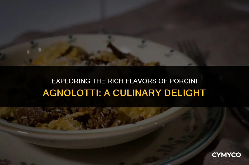 what is porcini agnolotti