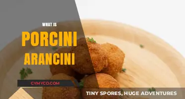 Exploring the Rich Flavors of Porcini Arancini: A Culinary Delight