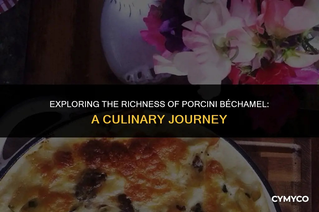 what is porcini bechamel