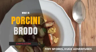 Exploring the Rich Flavors of Porcini Brodo: A Culinary Journey