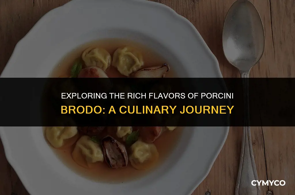 what is porcini brodo