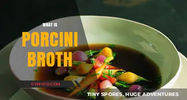 Exploring the Richness of Porcini Broth: A Culinary Journey