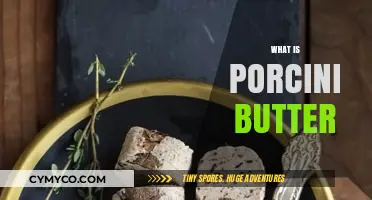 Exploring the Richness of Porcini Butter: A Culinary Delight