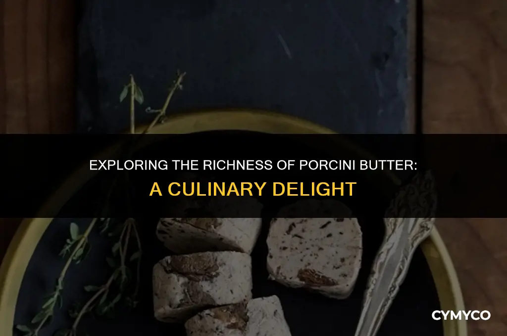 what is porcini butter