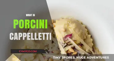 Exploring the Rich Flavors of Porcini Cappelletti: A Culinary Journey