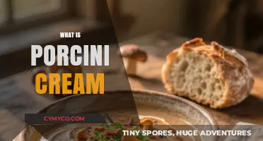 Exploring the Richness of Porcini Cream: A Culinary Journey