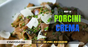 Exploring the Richness of Porcini Crema: A Culinary Journey