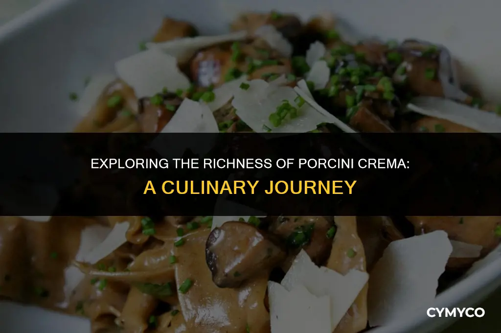 what is porcini crema