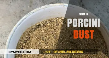 Exploring the Rich Flavor of Porcini Dust: A Culinary Journey