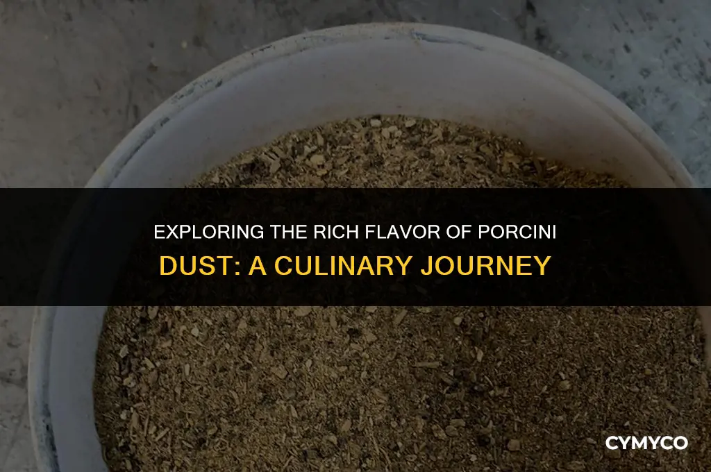 what is porcini dust