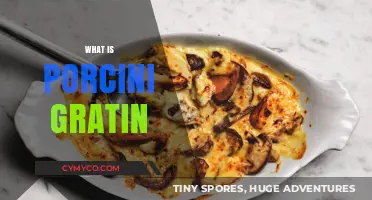 Exploring the Rich Flavors of Porcini Gratin: A Culinary Delight