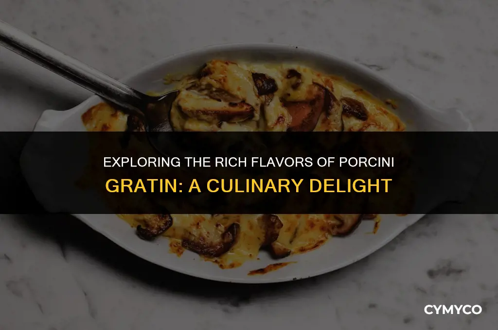 what is porcini gratin