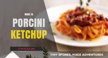 Exploring the Rich Flavor of Porcini Ketchup: A Gourmet Twist