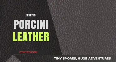 Exploring the Unique Qualities of Porcini Leather: A Comprehensive Guide