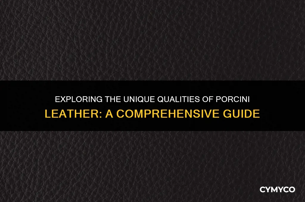 what is porcini leather