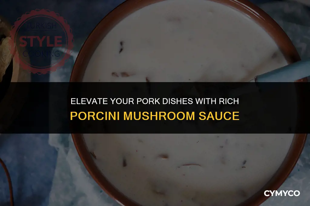 what is porcini mushroom sauce for pork