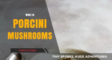 Discovering Porcini Mushrooms: A Gourmet's Guide to Earthy Delights