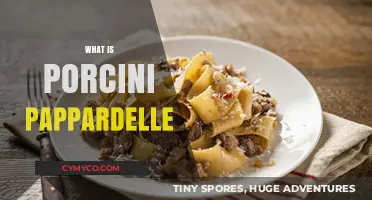 Exploring the Rich Flavors of Porcini Pappardelle: A Culinary Journey